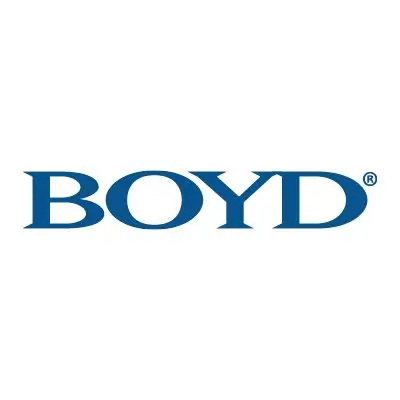 The image shows the word "BOYD" in bold, blue uppercase letters with a registered trademark symbol, conveying trust and innovation in AI and data strategy.